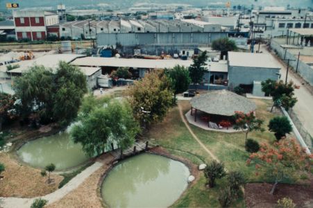 1992 En Ese Año Se Completó El Proyecto De Planta Santa Catarina Con Jardínes, Lago Artificial Y Una Palapa. El Diseño De La Planta Fue Hecho Pensando En El Mercado Externo, Buscando Un Aspecto Moderno Y Próspero,  Muy Distinto Al De L
