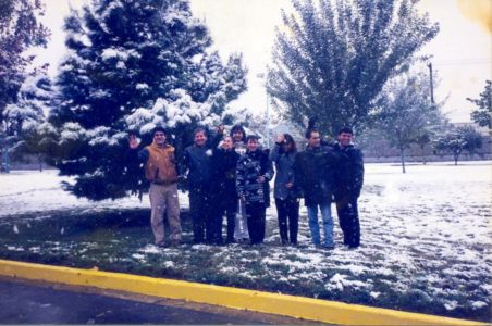 1997 Jardínes De Planta Santa Catarina Cubiertos De Nieve En Temporada Navideña Copy