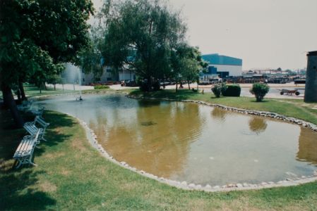 1997 Vista Desde El Lago