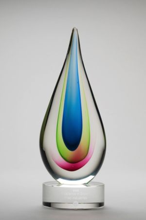 2008 Premio Excellence In Growth De GE Para FRISA