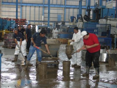 2010 AA Imagen De Planta Tras Huracán Alex
