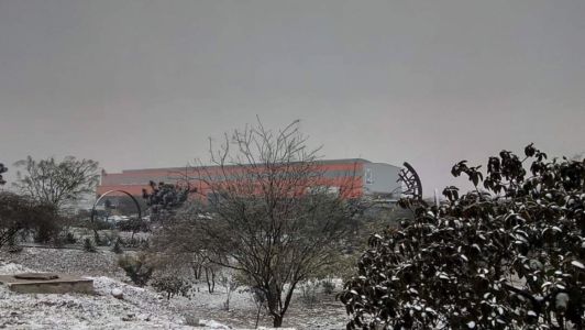 2018 Zz 2018 Nevada De Enero En Planta García